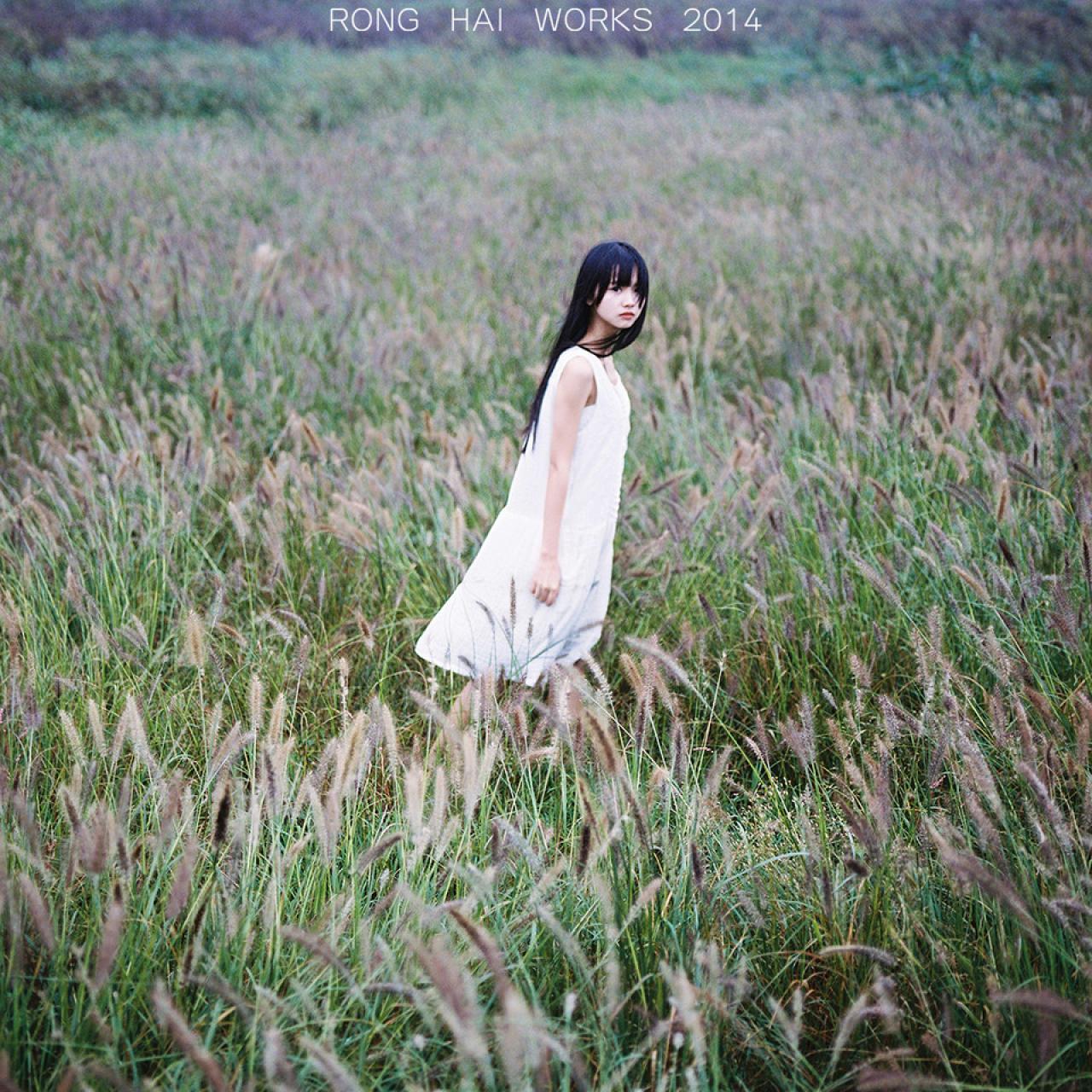 猫梓走在原野中侧面横幅