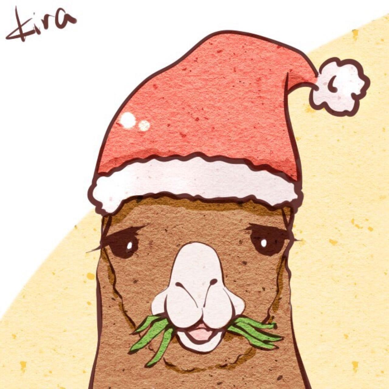 《白熊咖啡馆》大羊驼（llama桑）戴着圣诞帽头像