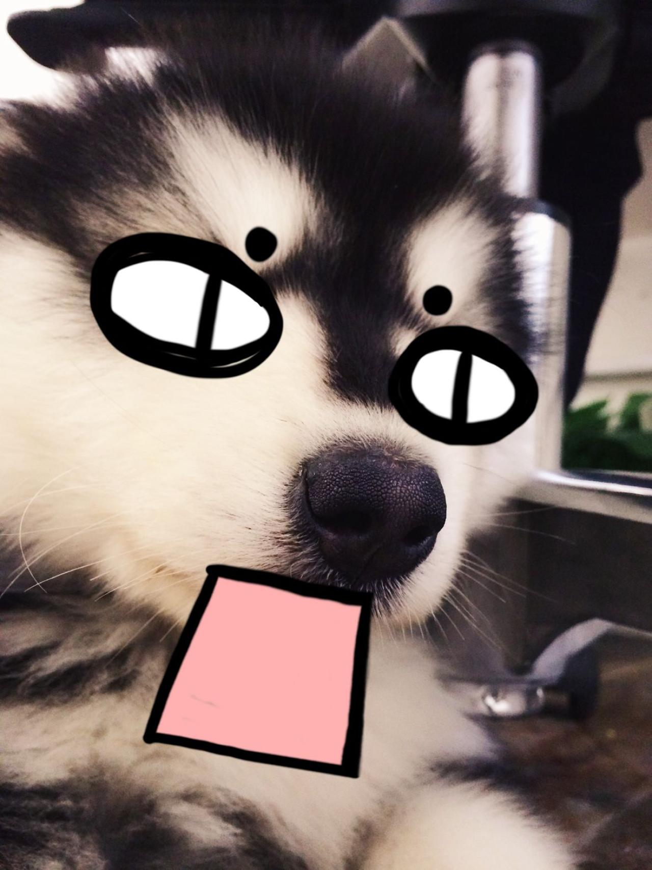 瞪着眼睛，张大嘴巴的马达加斯加头像