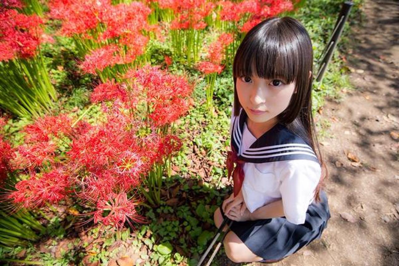 猫守ざーにゃ扮阎魔爱蹲在彼岸花丛旁