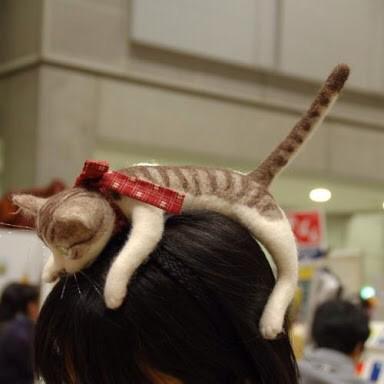 猫咪发箍扒在头上的效果侧面照