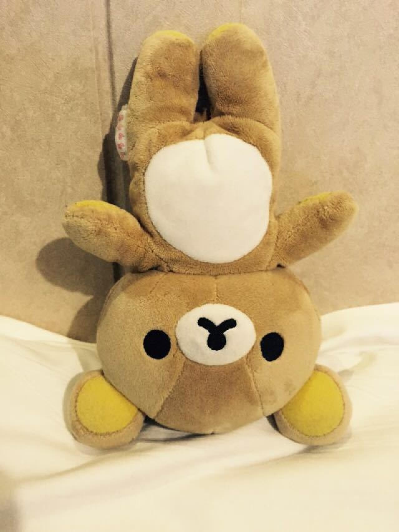 被易烊千玺罚倒立的轻松熊