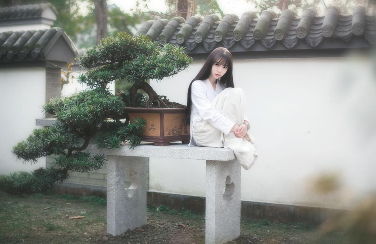 七七怀抱膝盖与松树盆景靠坐在一起