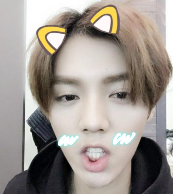 戴着猫耳的鹿晗表情