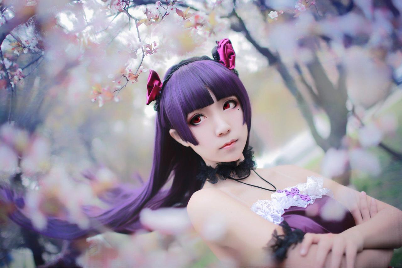 十三扮五更琉璃黑猫在花瓣围绕之中