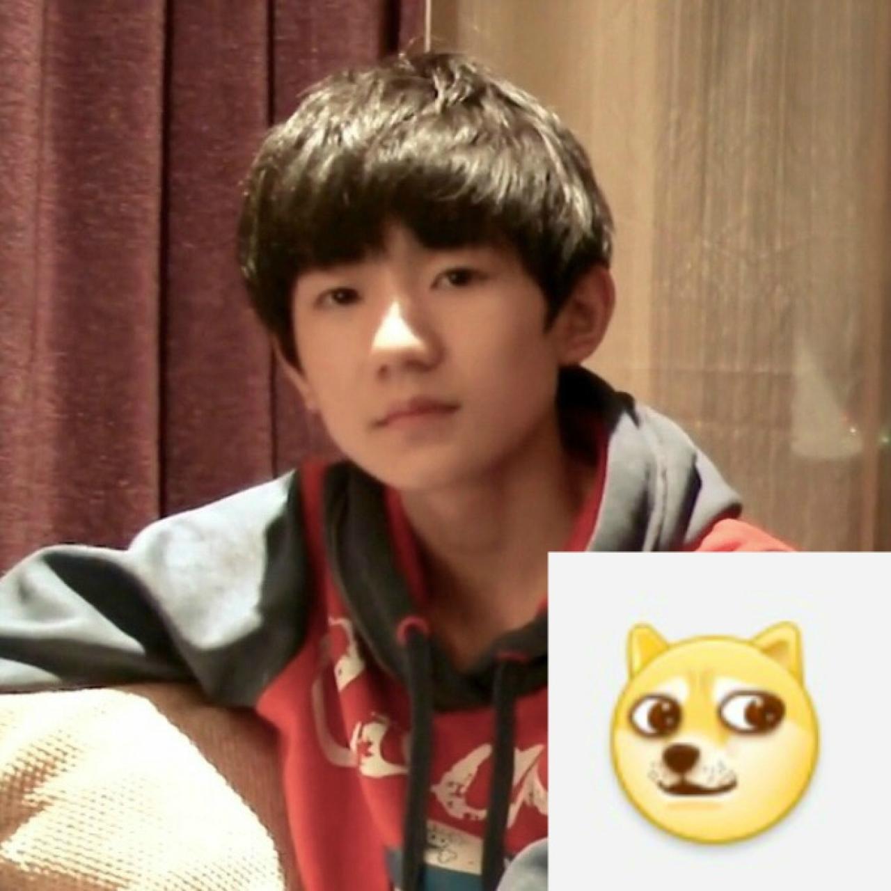 王源神似doge表情