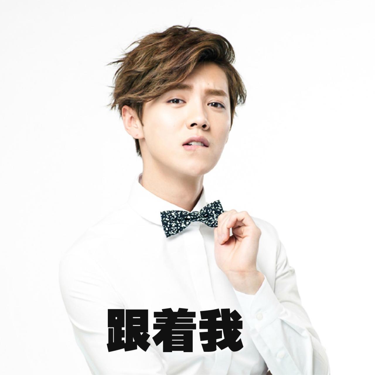 扶着蝴蝶领结的鹿晗表情：跟着我