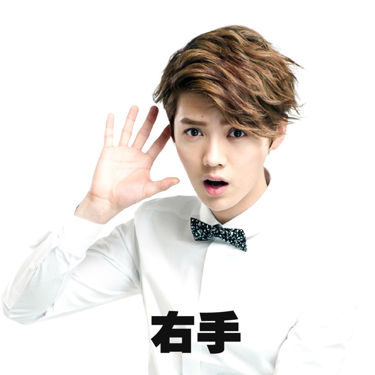 五指张开的鹿晗表情：右手
