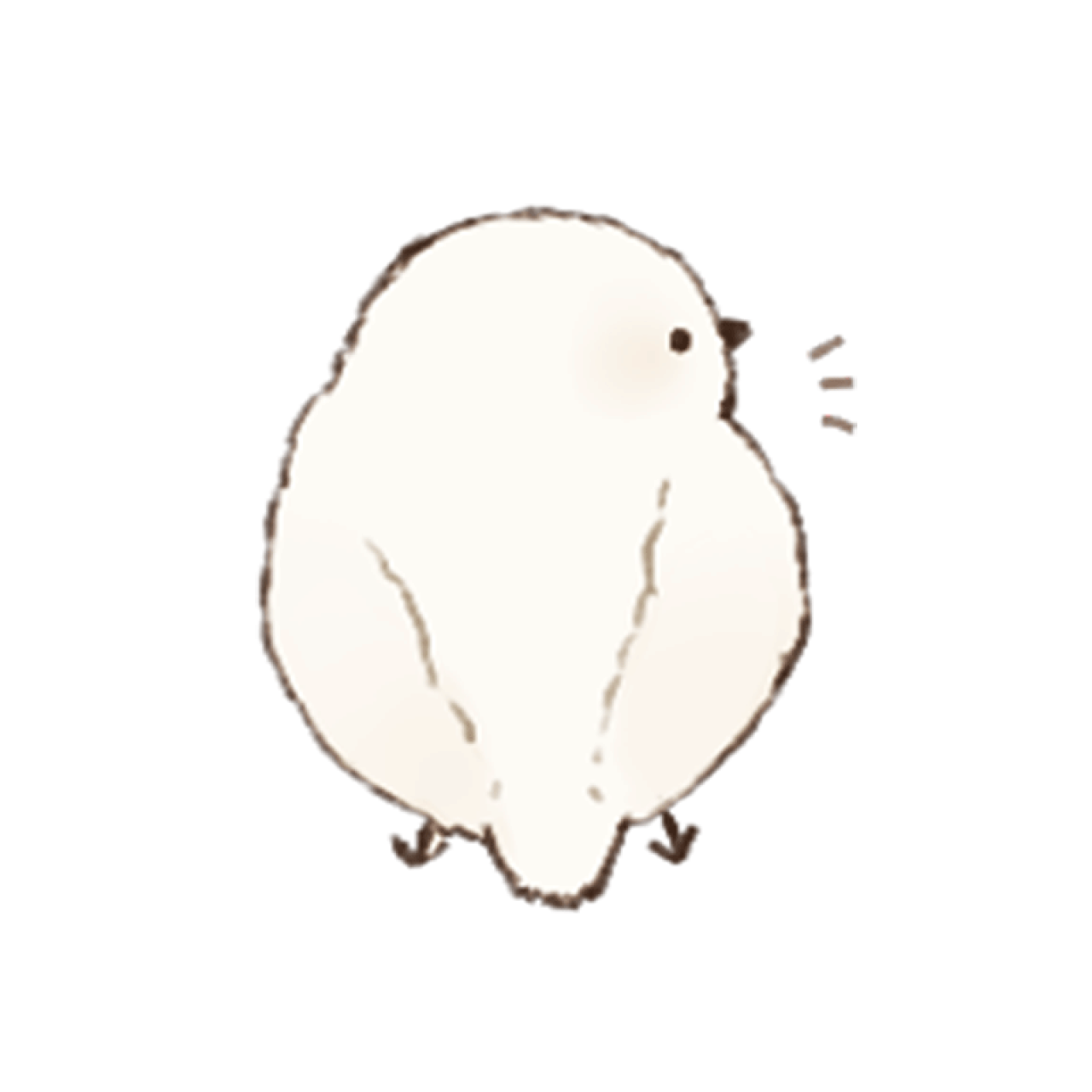 胖小鸟的背影头像