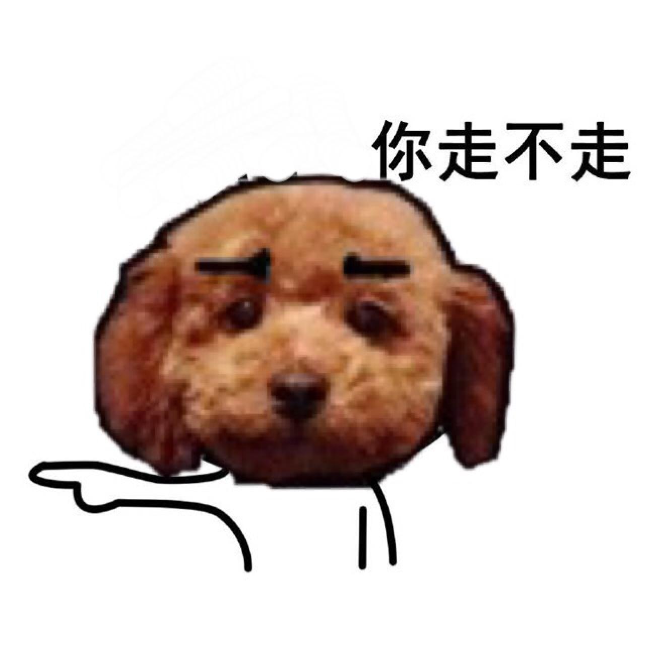 萌宠狗狗嘟嘟表情：你走不走