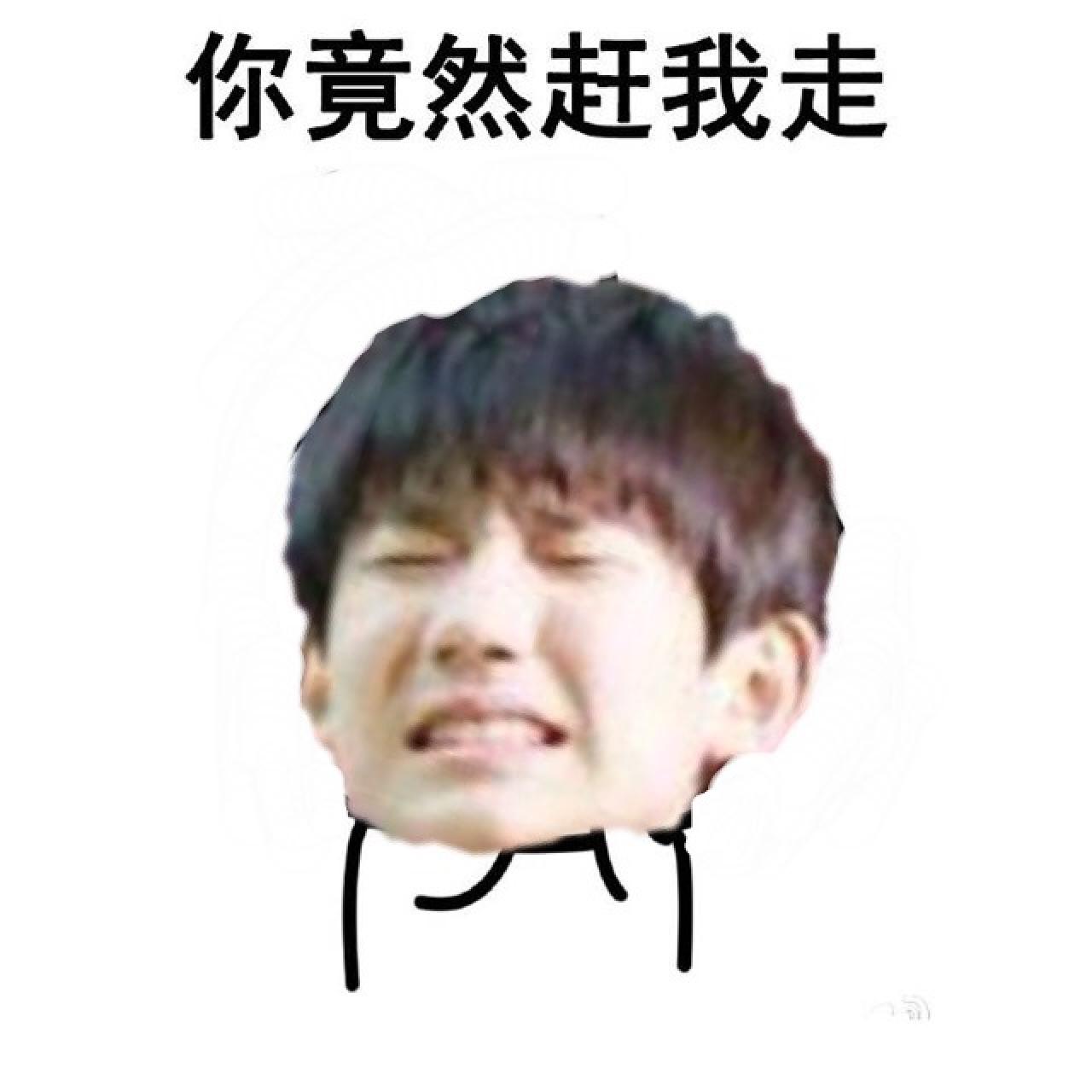 主人王源表情：你竟然赶我走