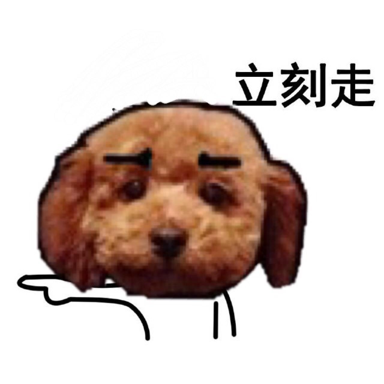 萌宠狗狗嘟嘟表情：立刻走