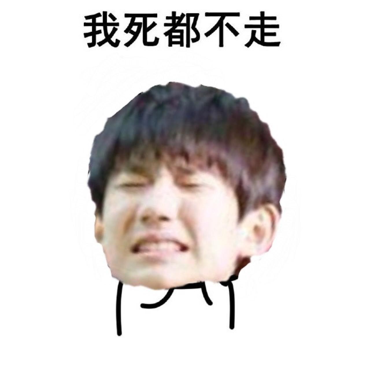 主人王源表情：我死都不走