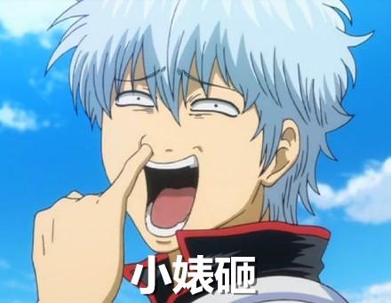 银魂坂田银时抠鼻表情：小婊砸