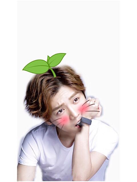 长小草的咬手环鹿晗头像