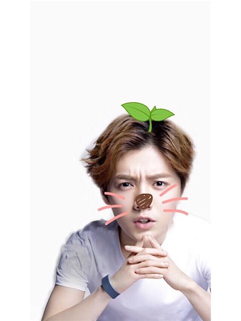 长小草猫胡子的鹿晗头像