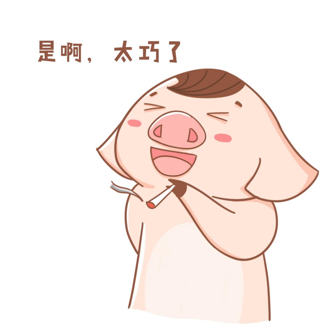 猪三蛋表情：是啊，太巧了。