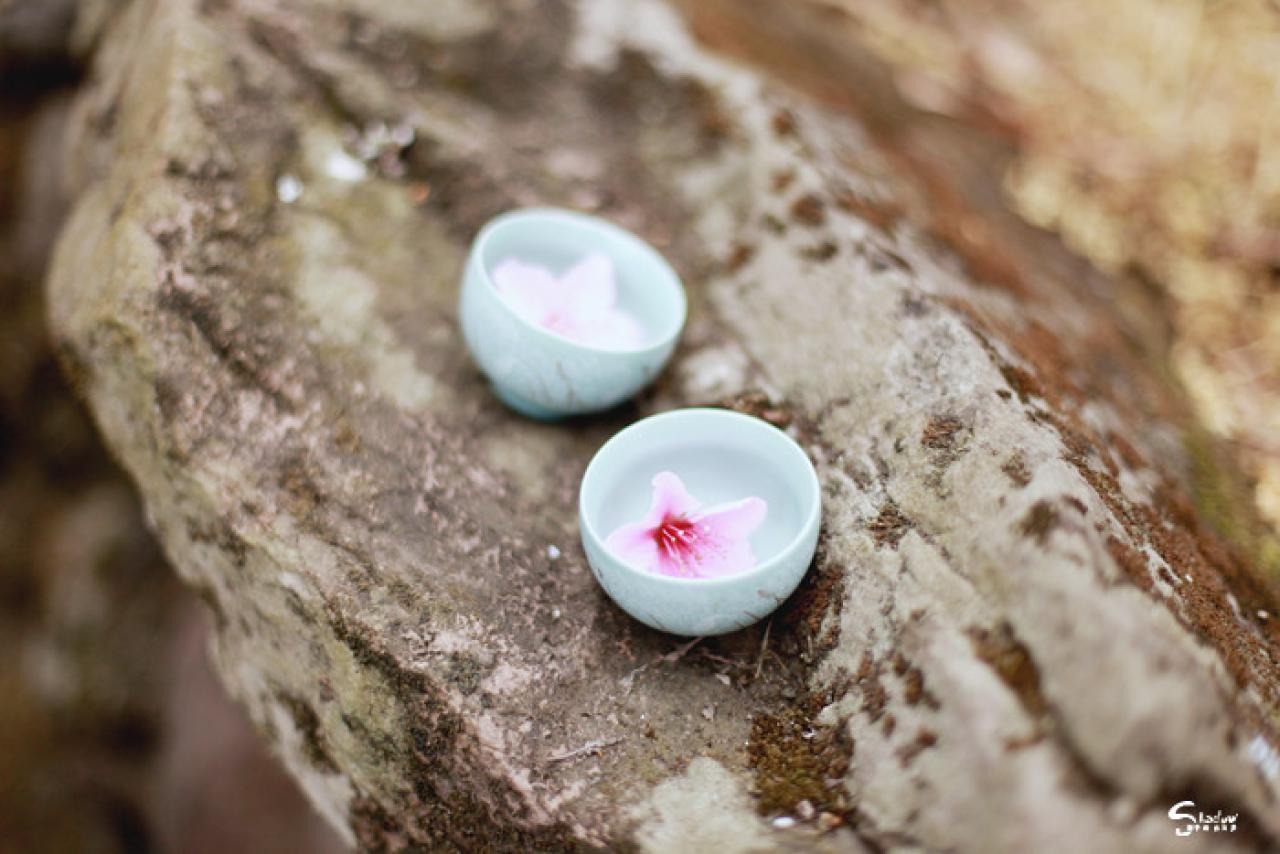 石级上两只盛着桃花的杯子