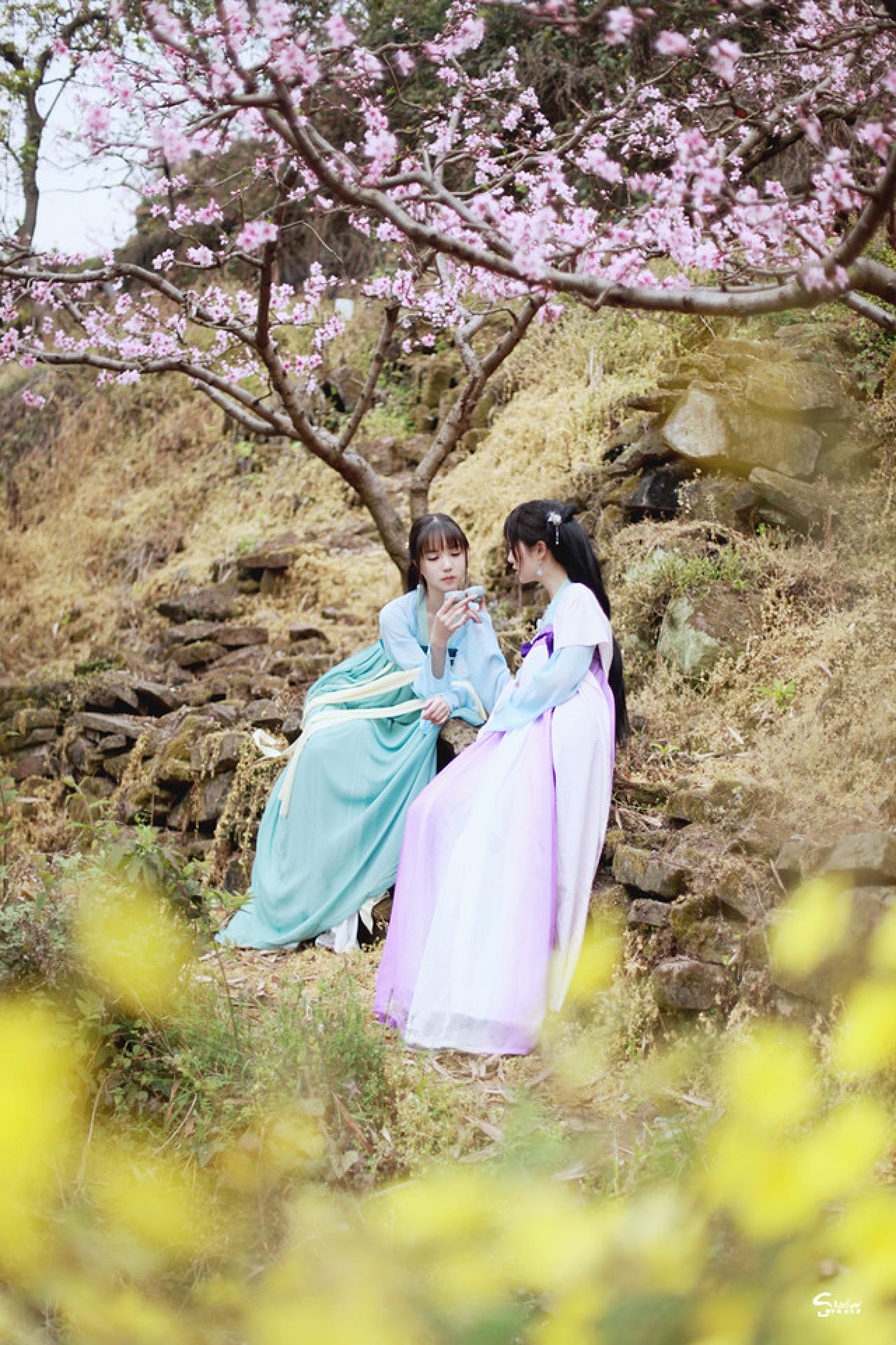 七七和加加代在桃花树下的石级上对饮桃花