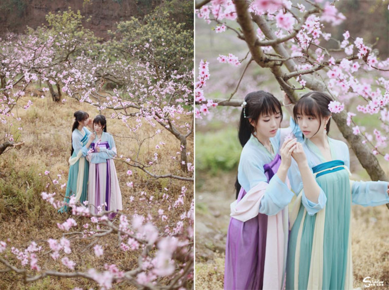 赏花间，七七对着加加代，附耳低言，说着悄悄话，加加代侧耳倾听