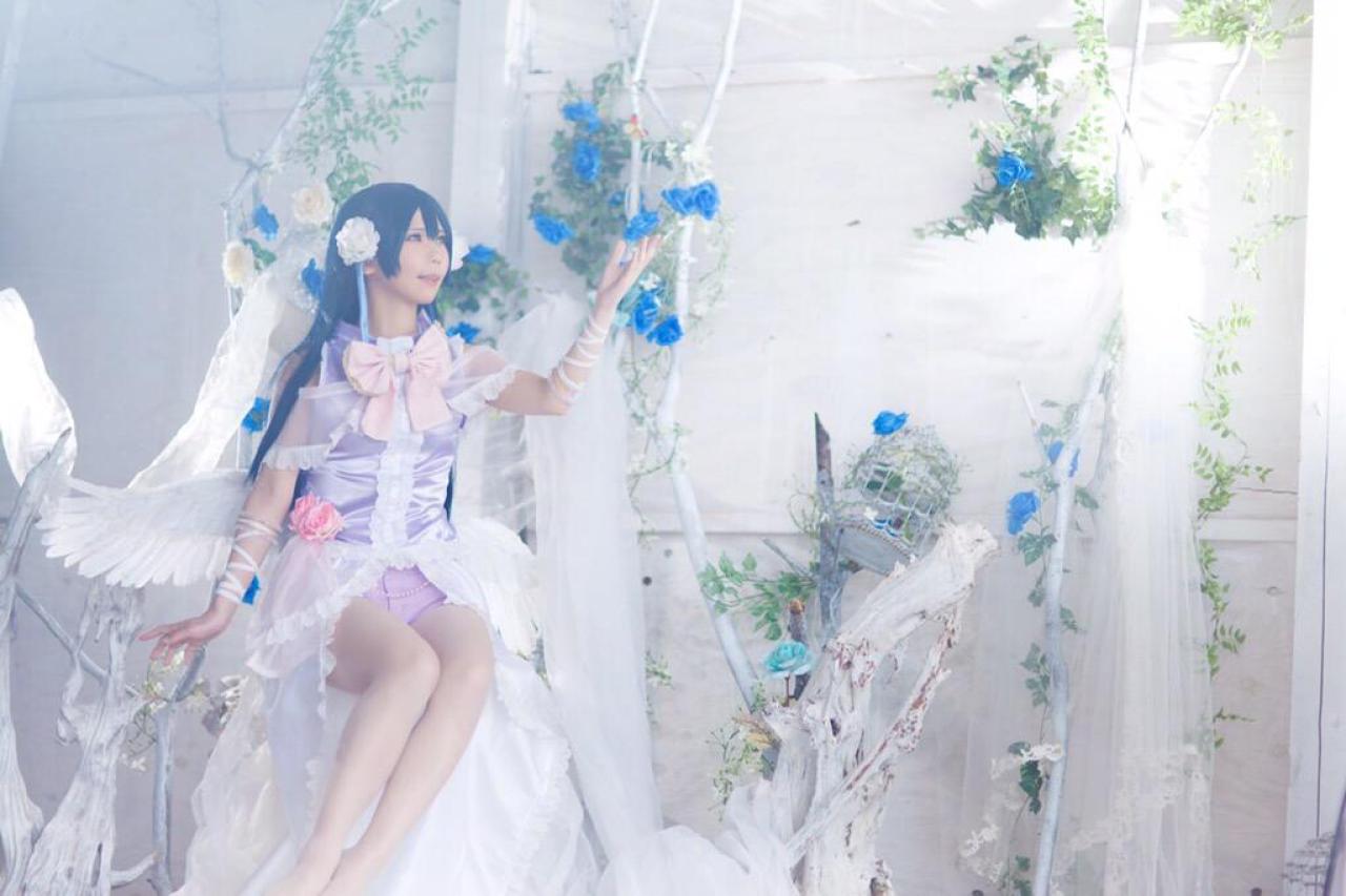 ステラ扮园田海未手捧白色缎带，手捧仰望垂掉的蓝色花瓣