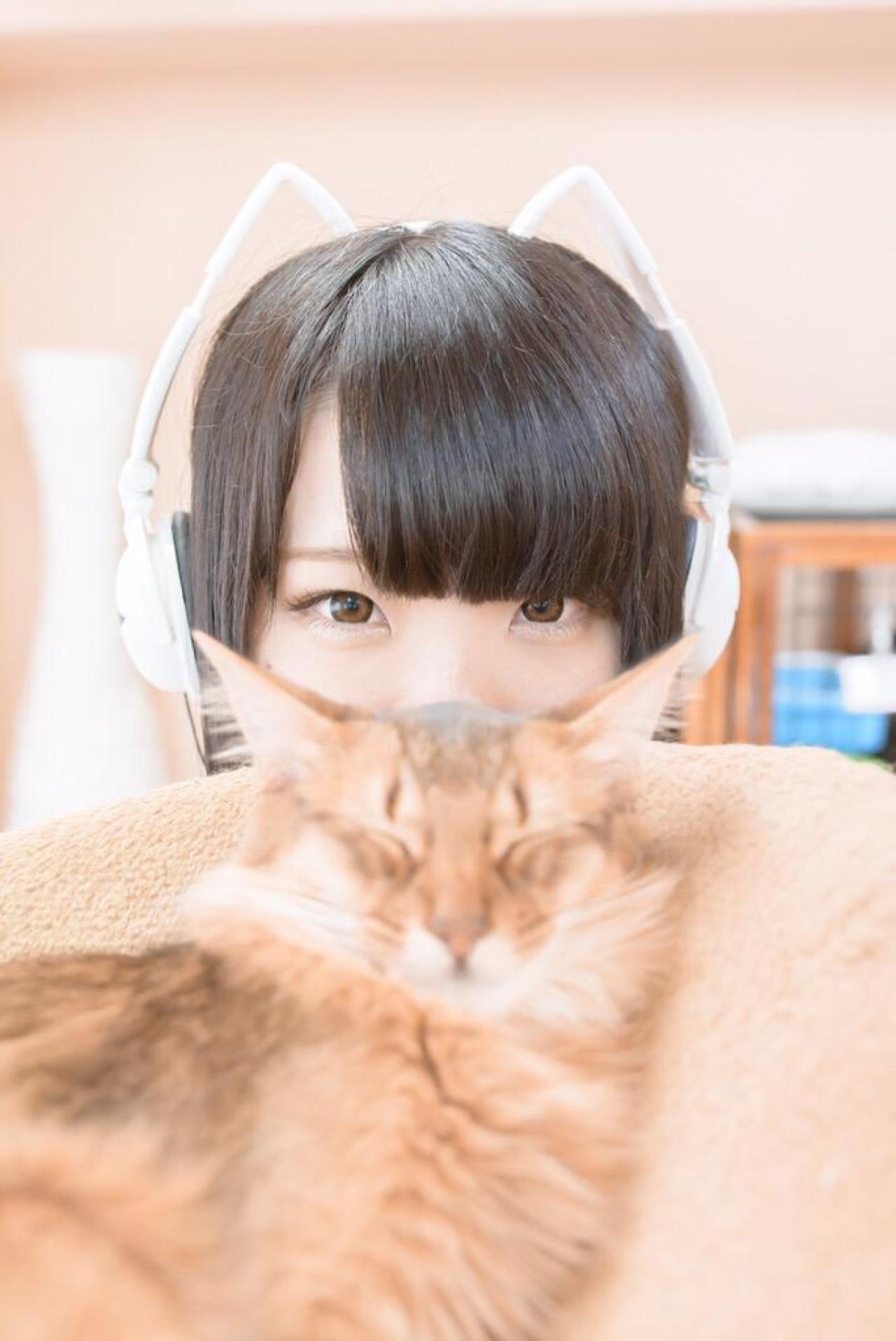 東雲りん戴着猫耳耳机，躲在闭眼的猫咪后面，只露出眼睛