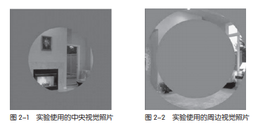 《设计师要懂心理学》书中，实验使用的中央视觉和周边视觉对比黑白照片