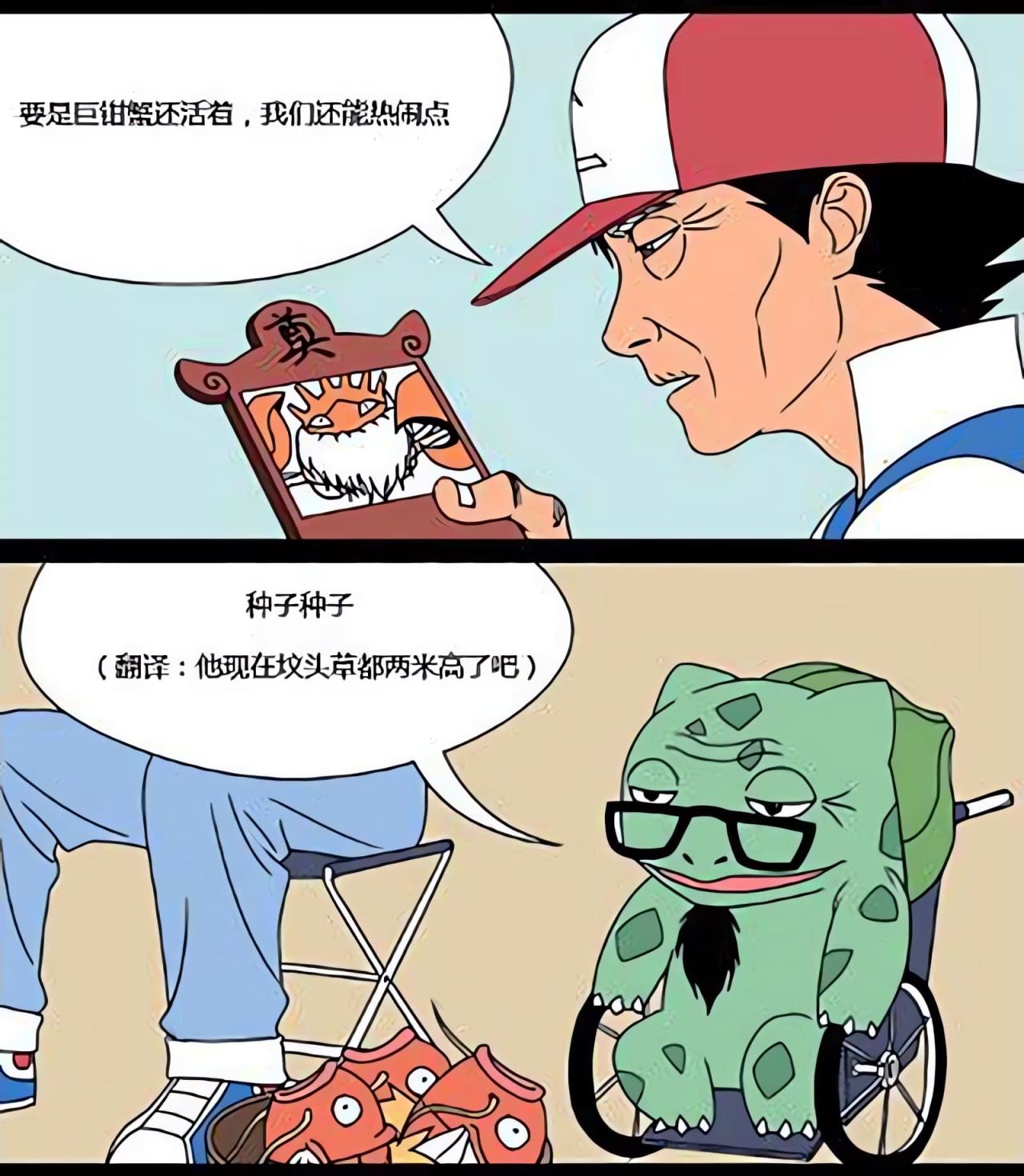 小智若有所思地拿起来巨钳蝎的照片，说：要是巨钳蝎还活着，我们还能热闹点儿。妙蛙种子说：他现在坟头草都两米高了吧